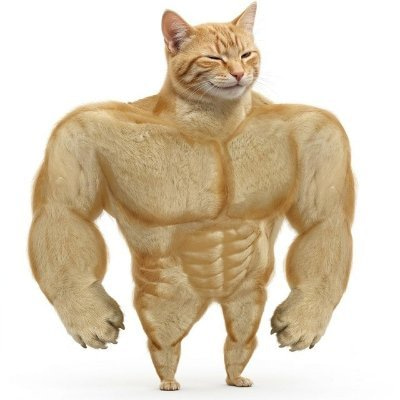 Buff Cat