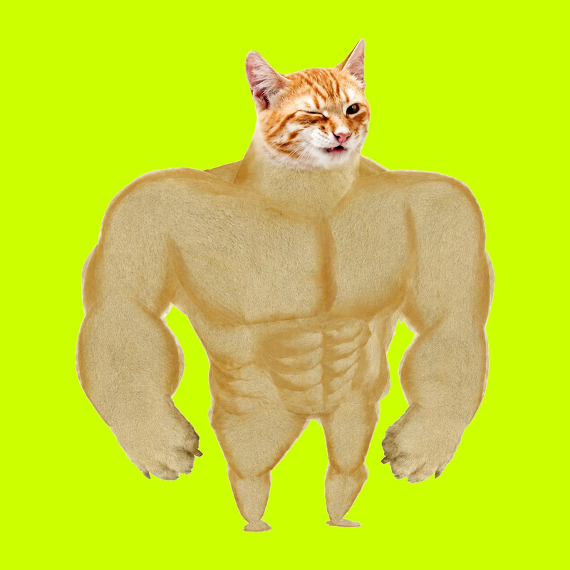Swole Wink Cat